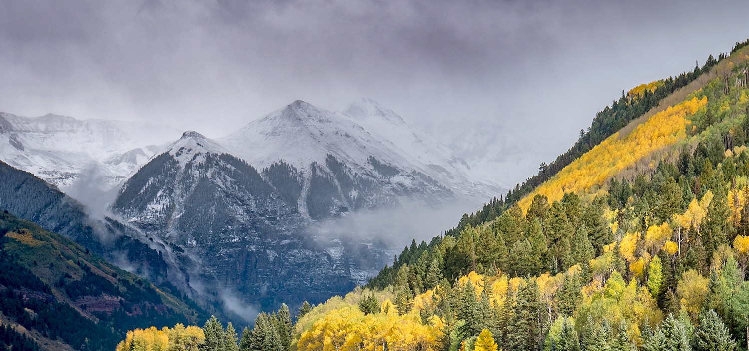 valley floor trees snow