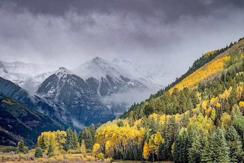 valley floor trees snow