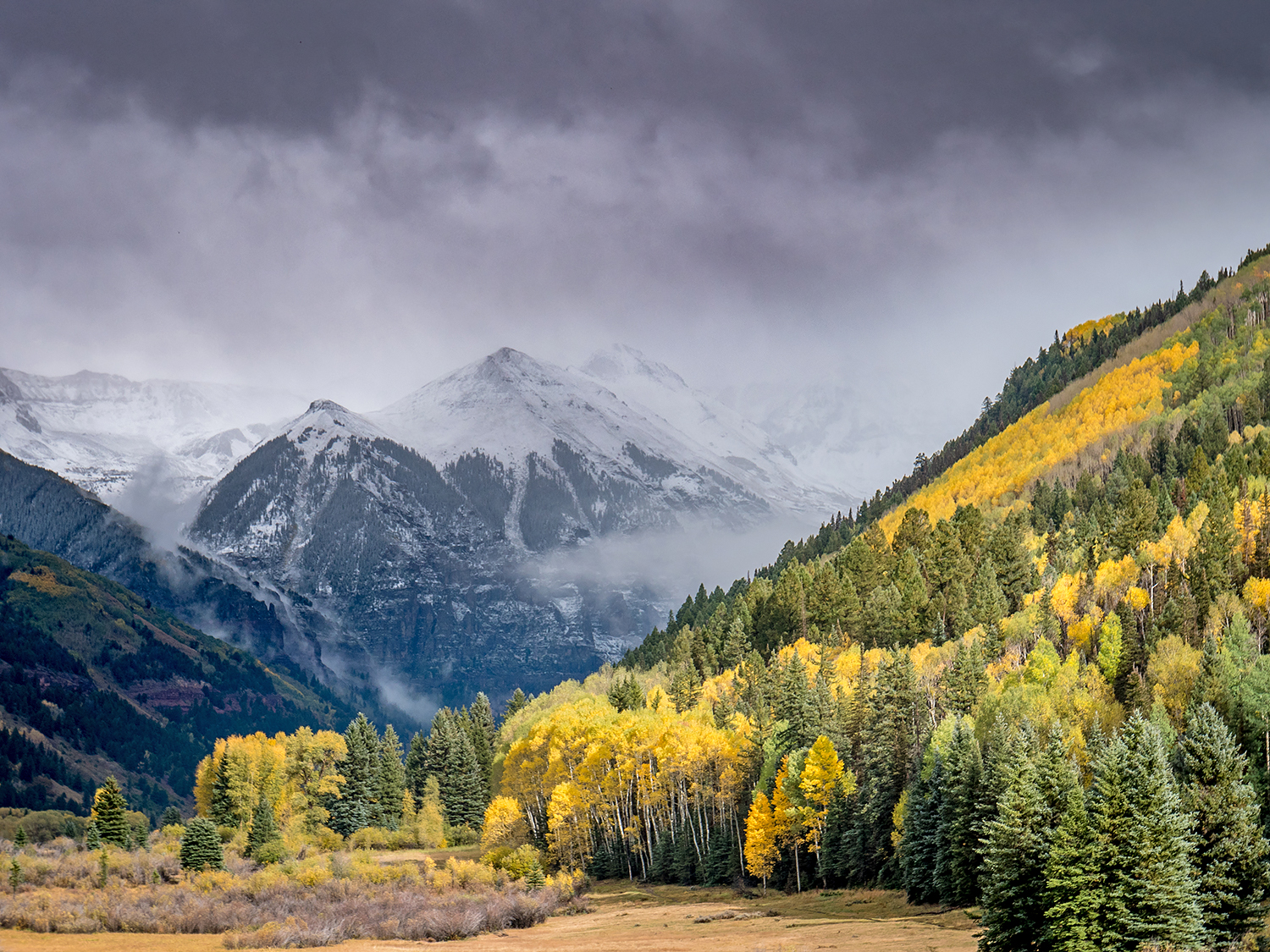 Green to Gold in Telluride Visit Telluride