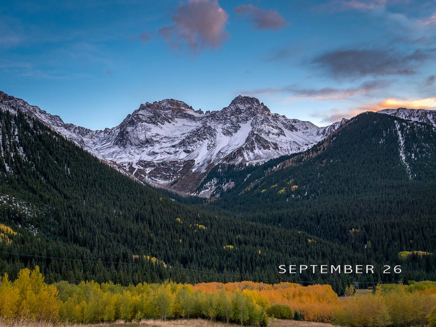 Blog Pine With Aspens