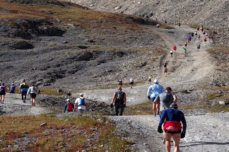 Imogene Pass Run