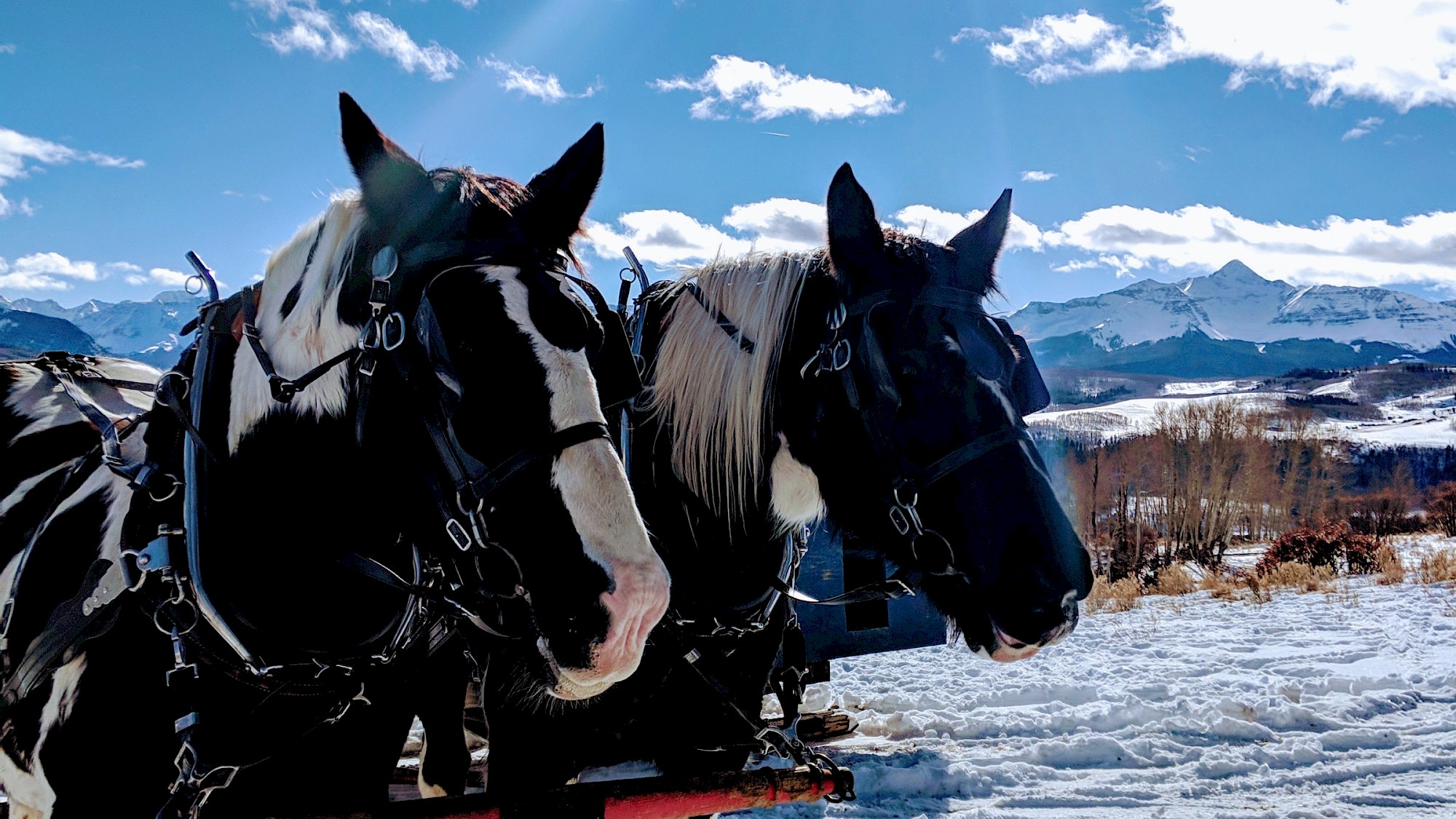 Telluride Sleighs and Wagons
