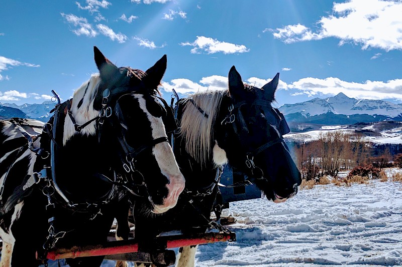 Telluride Sleighs and Wagons