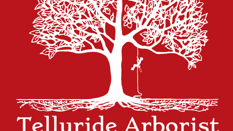 Telluride Arborist