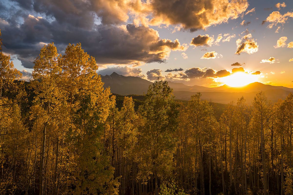 Fall foliage in Telluride, CO