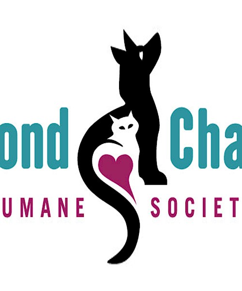 Second Chance Humane Society Telluride Thrift Shop