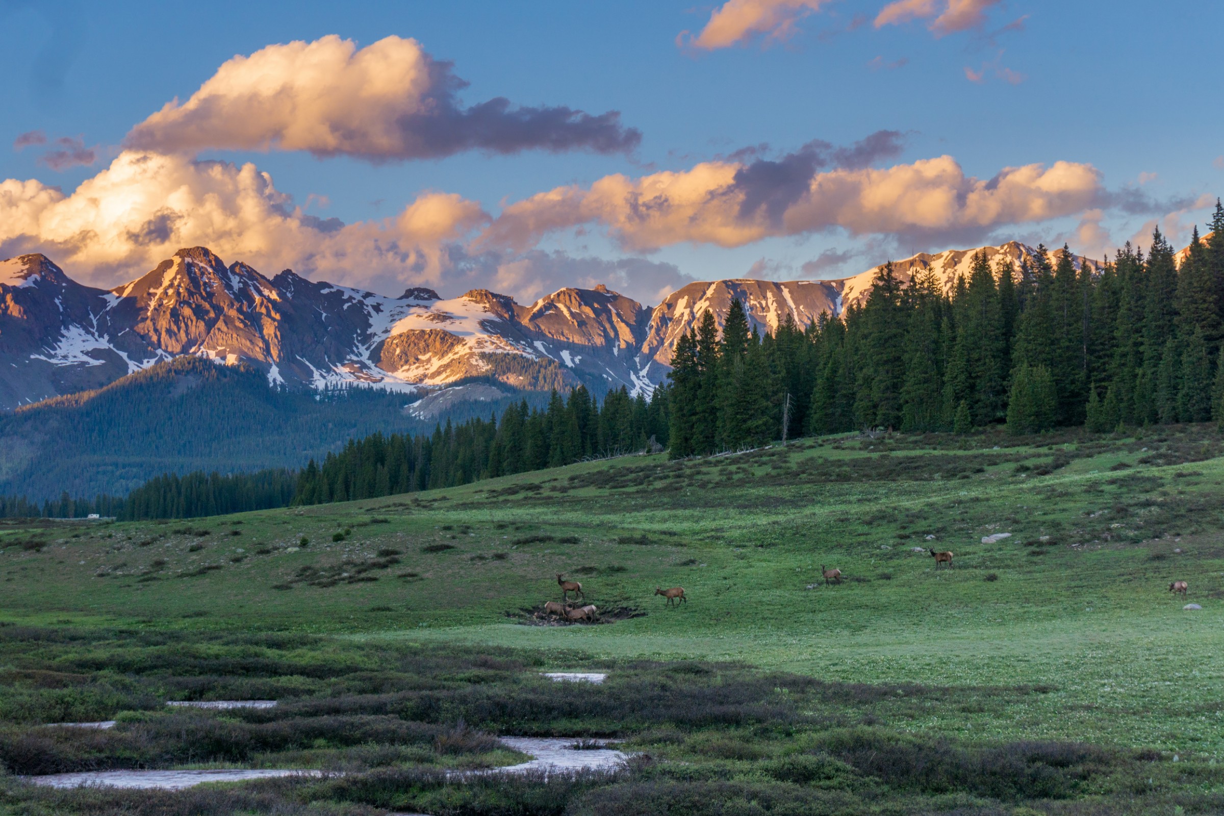 10 Things To Love About Mountain Village Colorado In The Summer