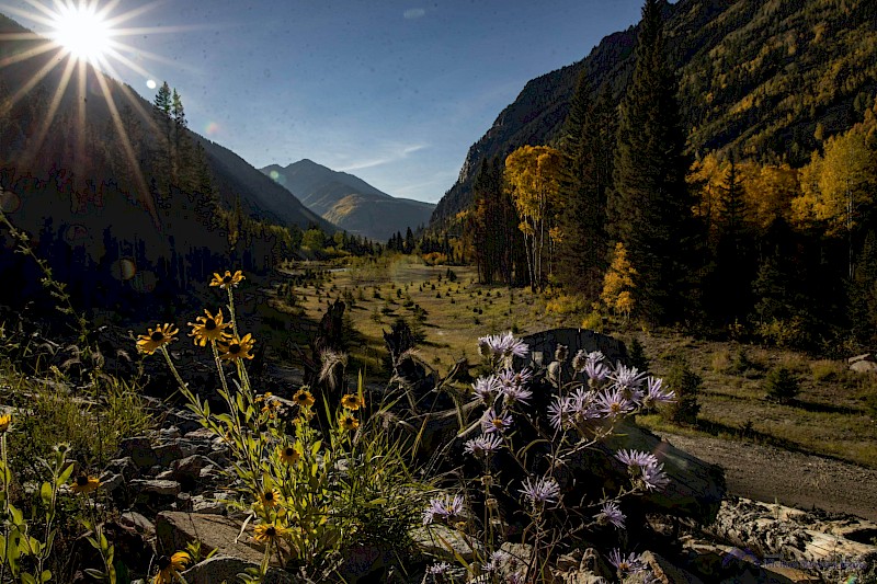 Mountain Meadows Retreat