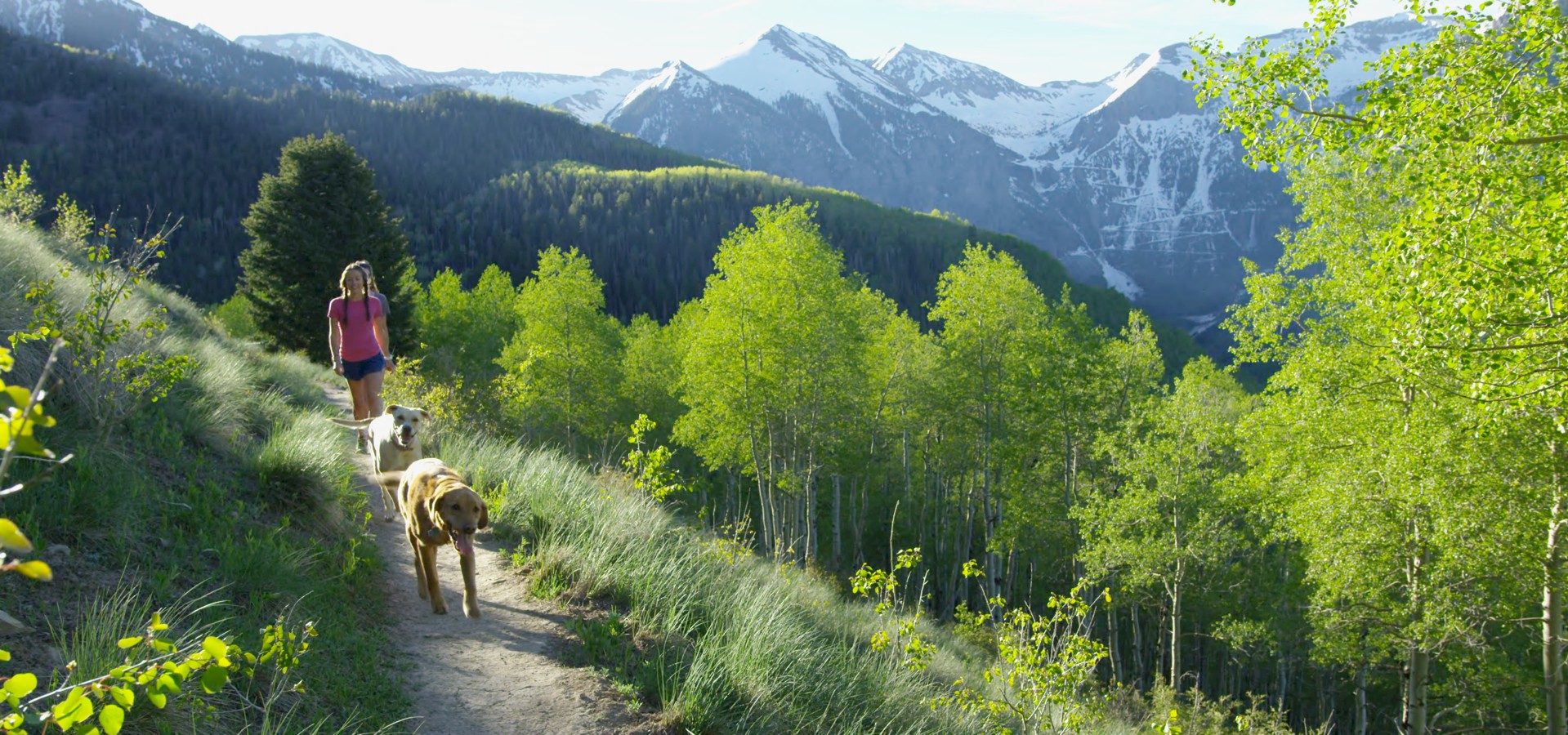 Telluride & Mountain Village Hiking Trail Maps