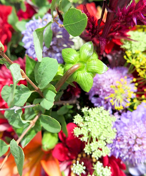 Telluride Farmers' Market