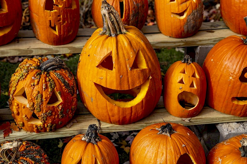 KOTO Halloween Bash