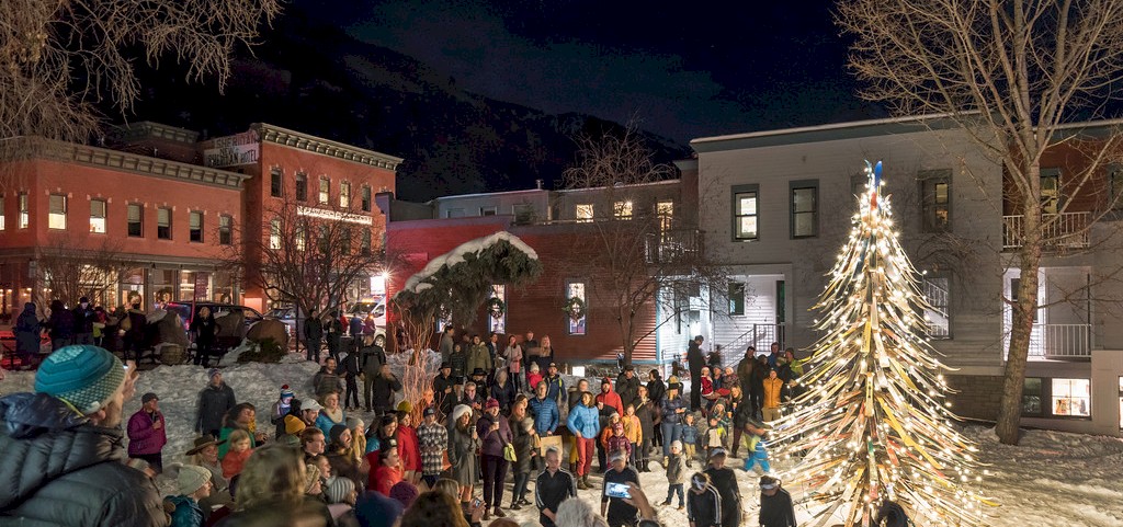 Telluride Ski Tree