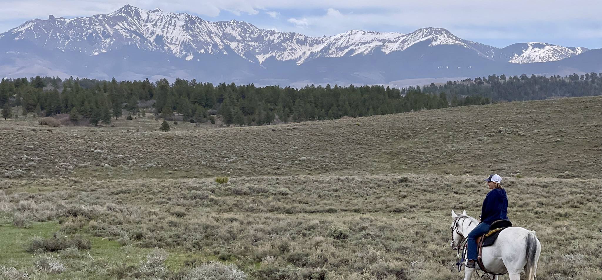 Baker Ranch Horseback Adventures Visit Telluride