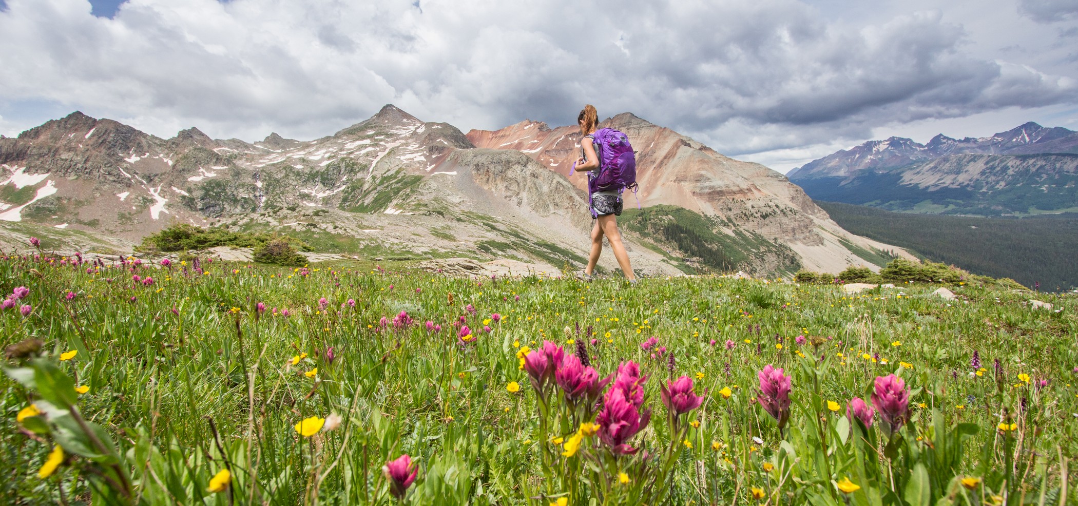 Trails in Telluride