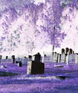 Lamplight Cemetery Tour
