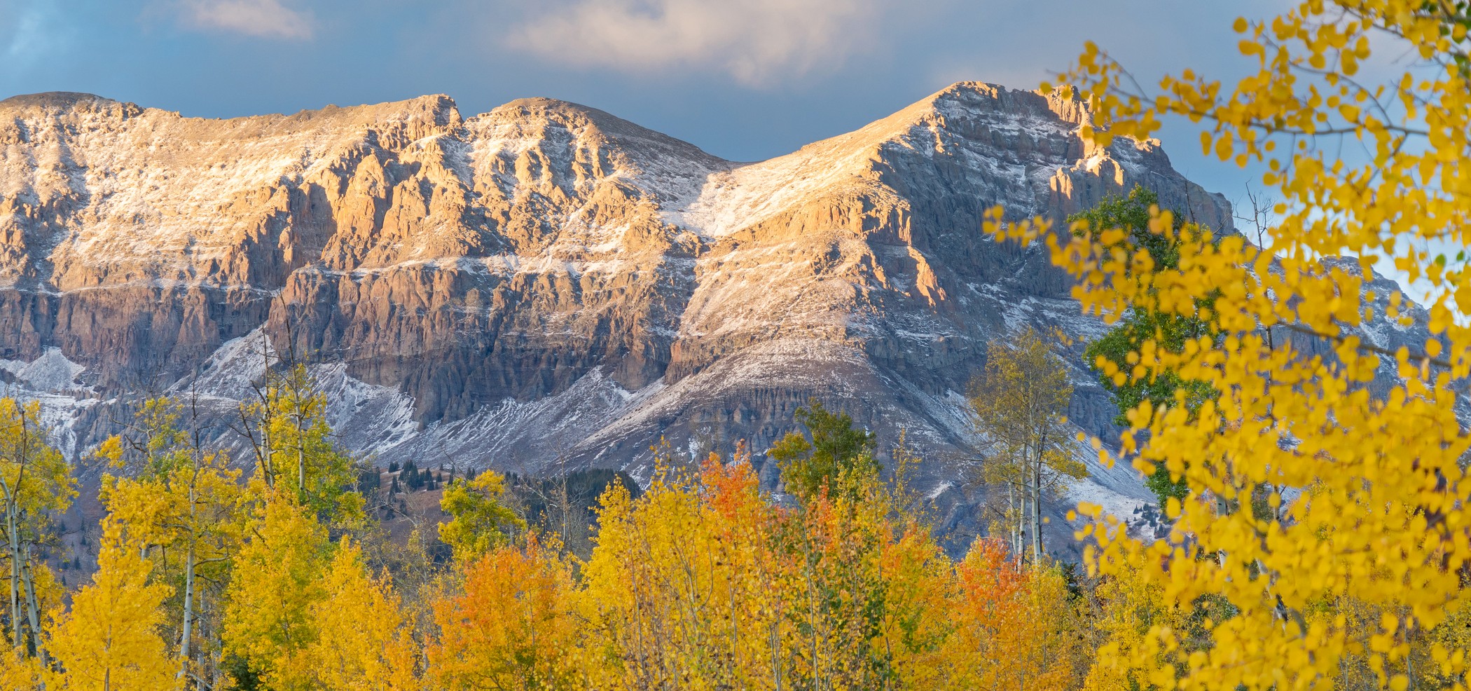 Fall Foliage Update