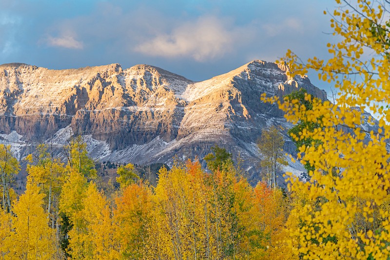 2023 Fall Foliage Update