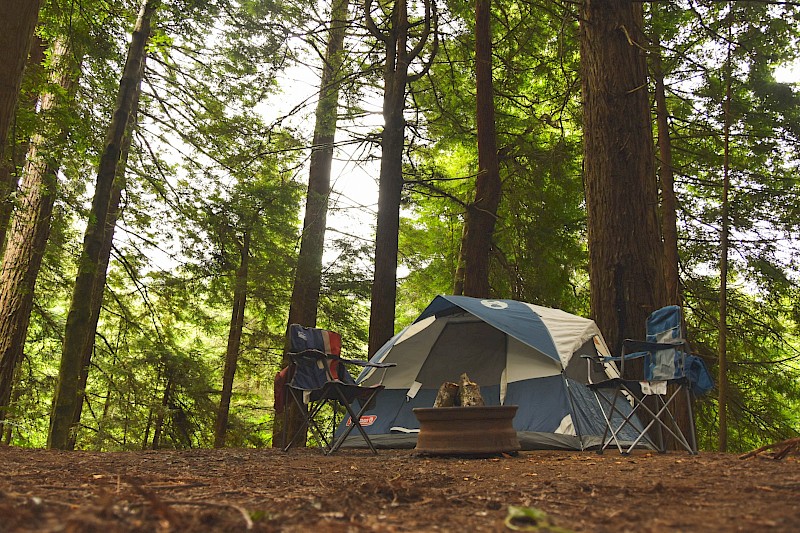 Sunshine Campground