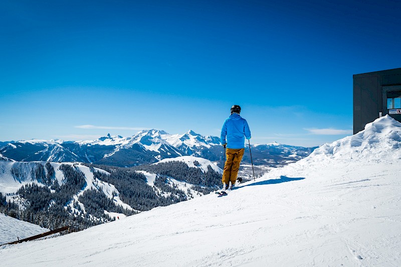 Spring Special: Save 20% On 4+ Nights