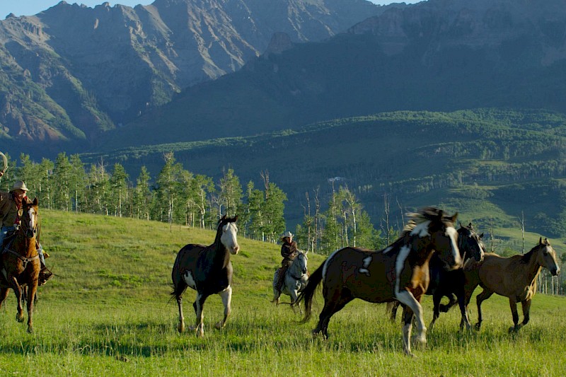 Horsing Around in Telluride