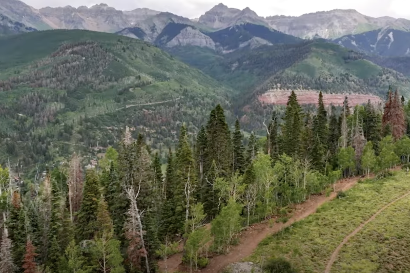 New Stegosaurus Trail Open to Public