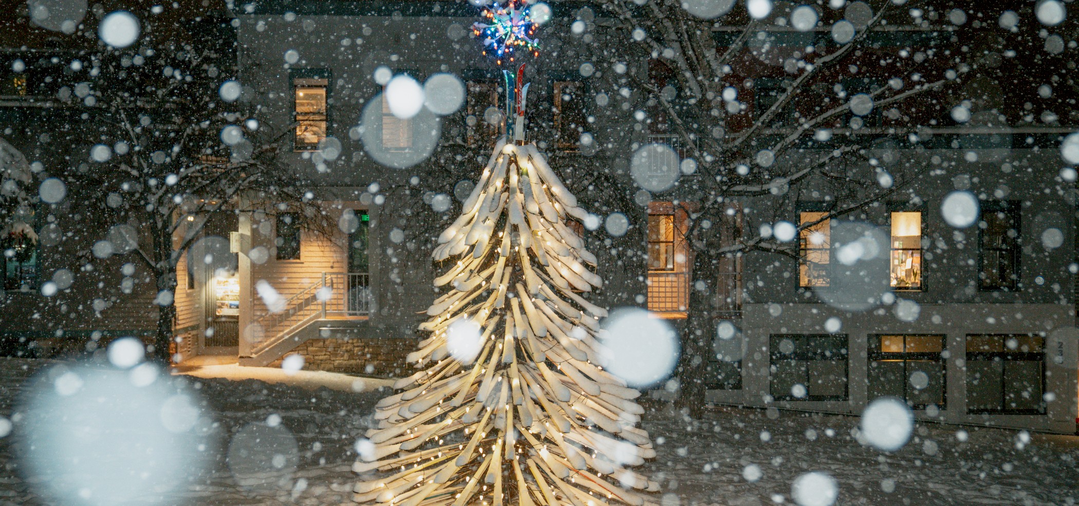 Telluride Ski Tree in Telluride, Colorado