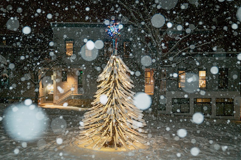 Telluride Ski Tree in Telluride, Colorado