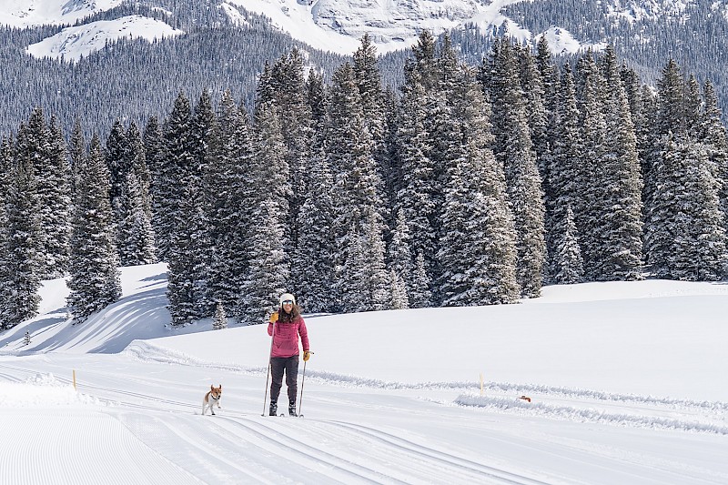 Nordic Skiing in Telluride, Colorado