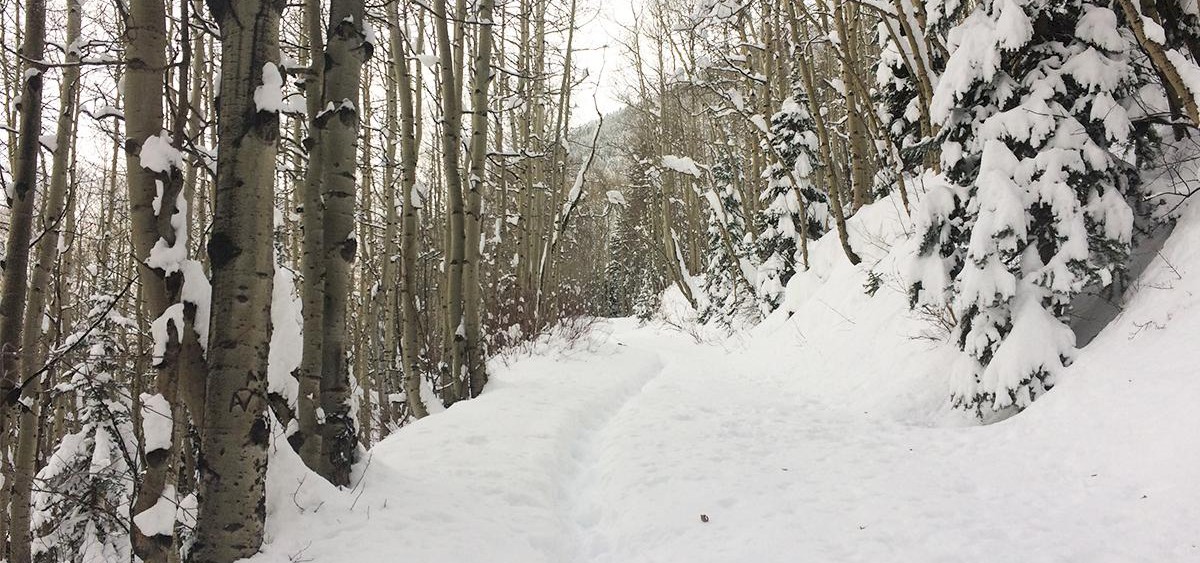 Bearcreek
