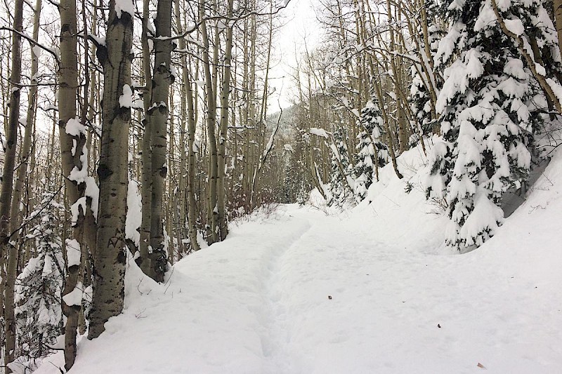 Bear Creek Trail