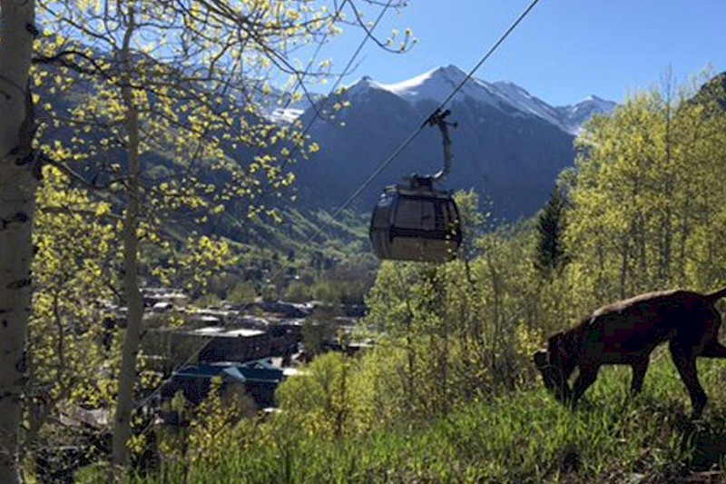 Telluride Trail