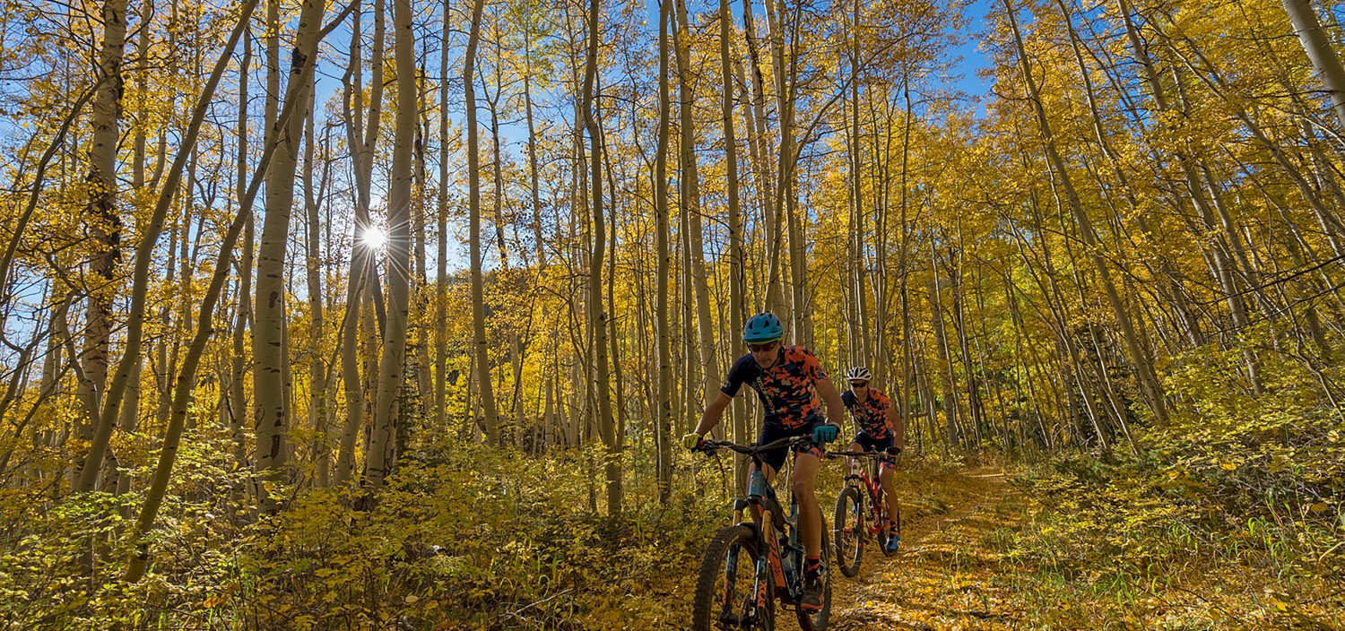 Meadows Trail