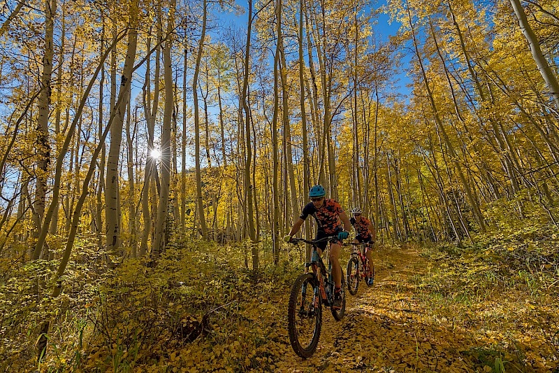 Meadows Trail